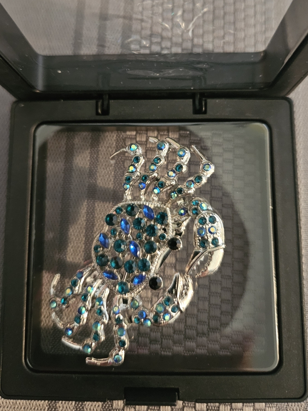 Crab Brooch W/ Floating Frame